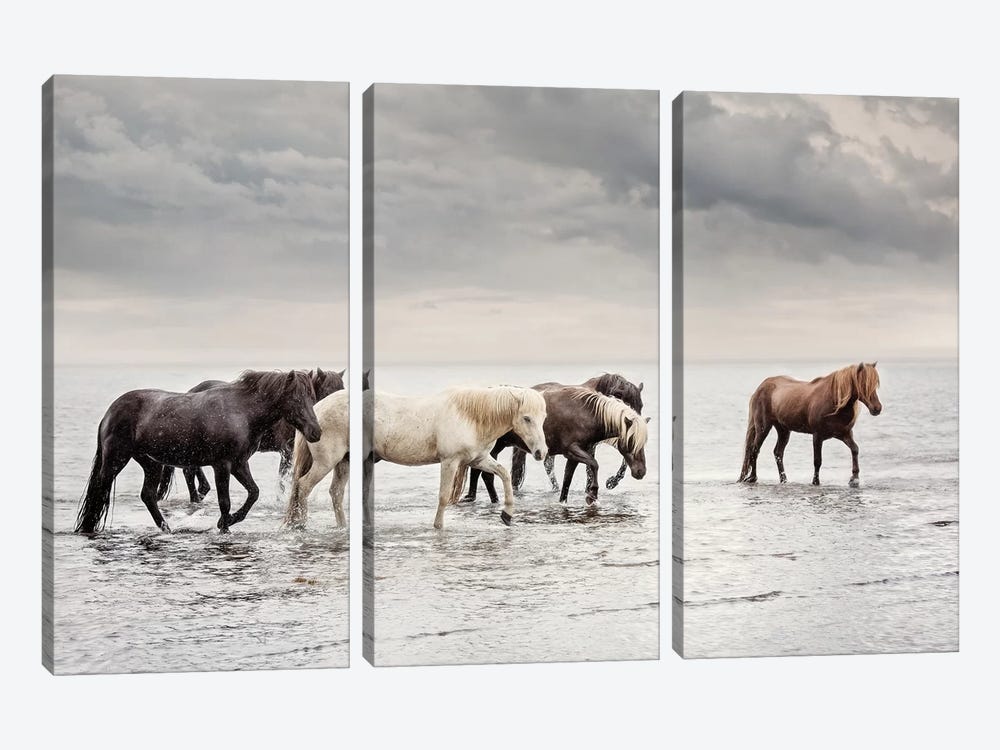 Water Horses IV by PHBurchett 3-piece Canvas Print