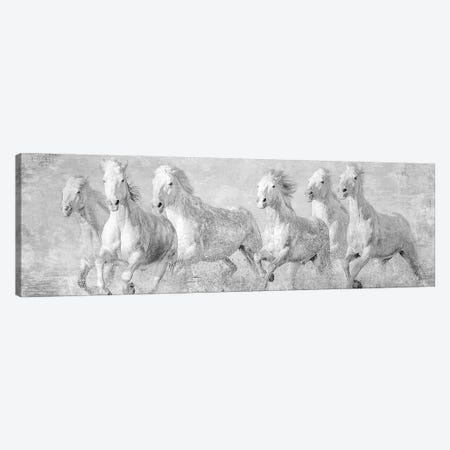 Water Horses V Canvas Print #PHB66} by PHBurchett Canvas Art Print
