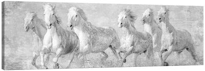 Water Horses V Canvas Art Print