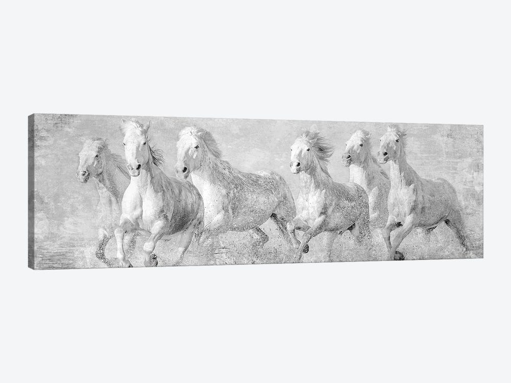 Water Horses V by PHBurchett 1-piece Canvas Wall Art