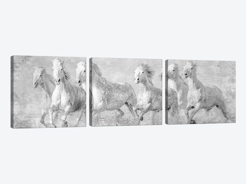 Water Horses V by PHBurchett 3-piece Canvas Wall Art