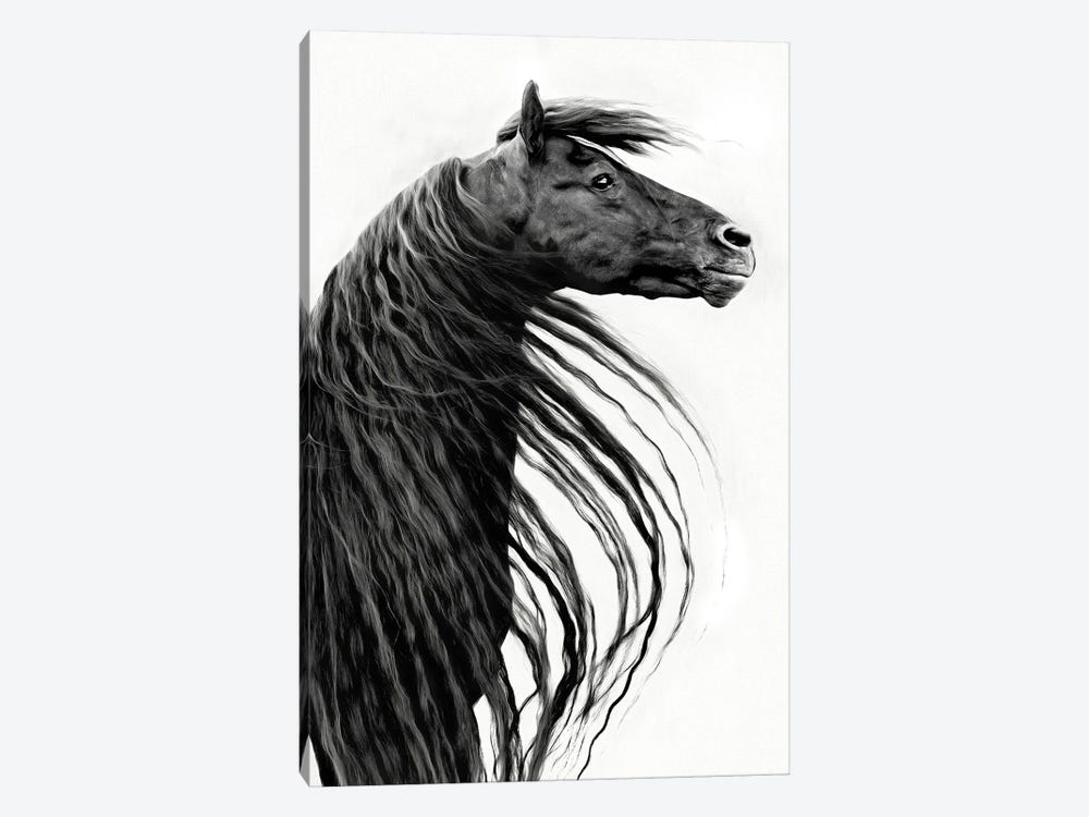 Black and White Horse Portrait II by PHBurchett 1-piece Canvas Wall Art
