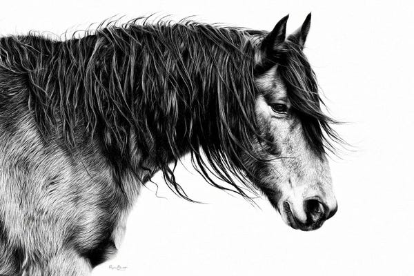 Black & White: Black and White Horse Portrait III by PH Burchett