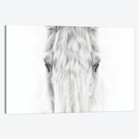 Black and White Horse Portrait IV Canvas Print #PHB75} by PHBurchett Canvas Art