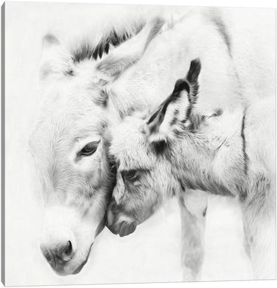 Donkey Portrait III Canvas Art Print - Black & White Animal Art