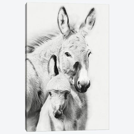 Donkey Portrait V Canvas Print #PHB79} by PHBurchett Art Print
