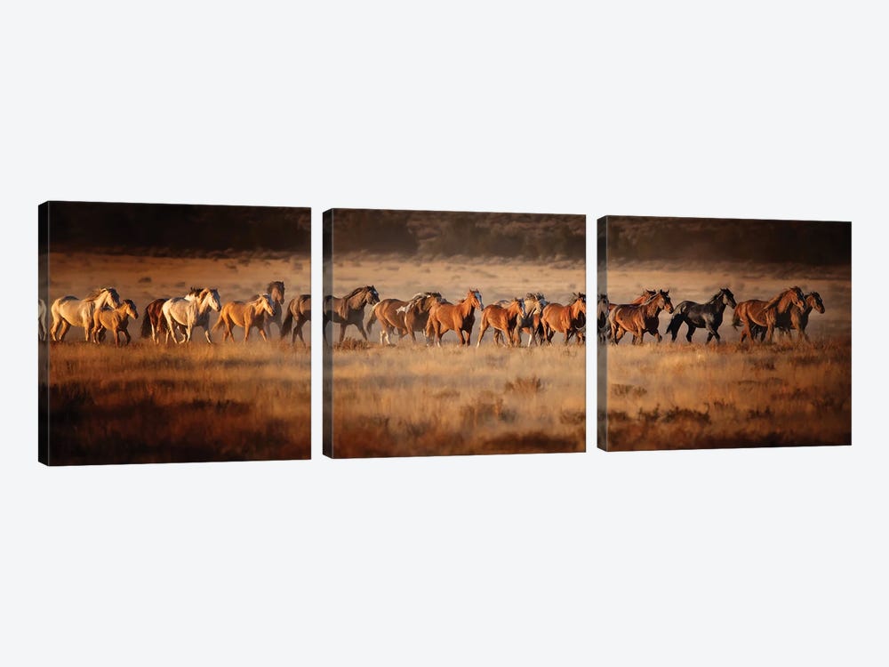 Horse Run VII by PHBurchett 3-piece Canvas Art Print