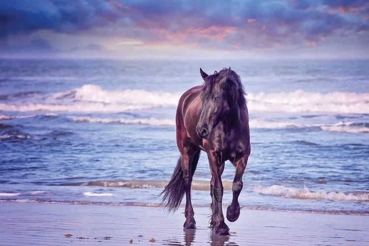 Running in the Sand I by PHBurchett wall art