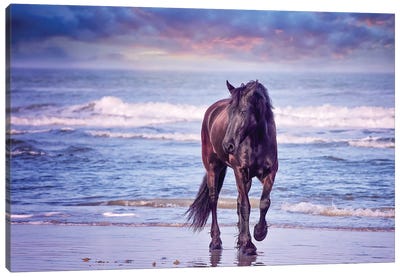 Running in the Sand I Canvas Art Print