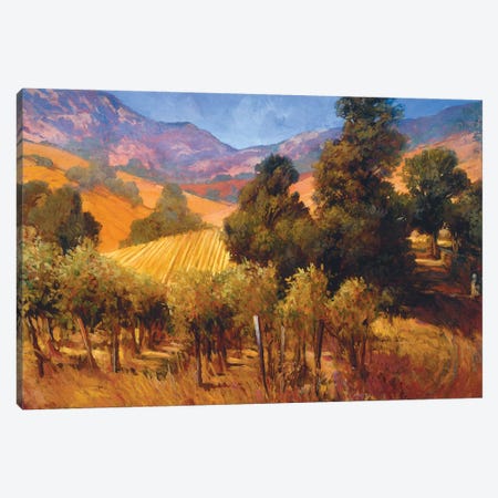 Southern Vineyard Hills Canvas Print #PHC10} by Philip Craig Canvas Art