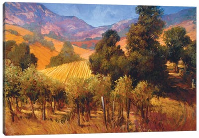 Southern Vineyard Hills Canvas Art Print - Hill & Hillside Art