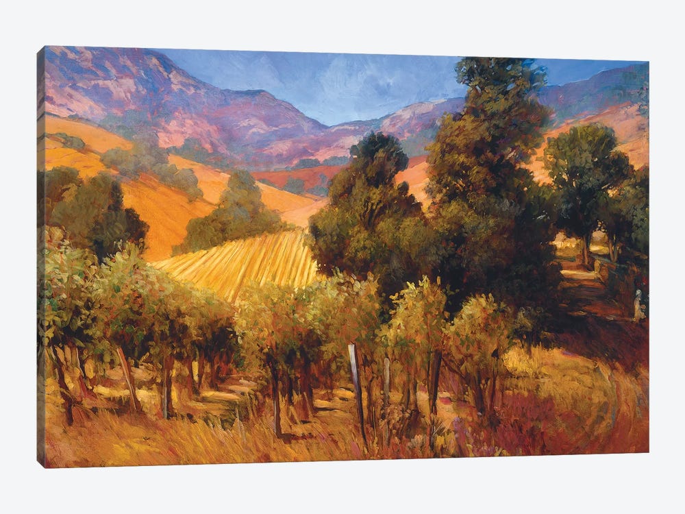Southern Vineyard Hills by Philip Craig 1-piece Canvas Art