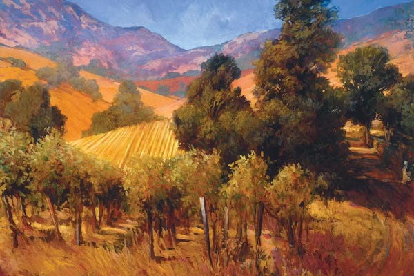 Hillsides: Southern Vineyard Hills by Philip Craig