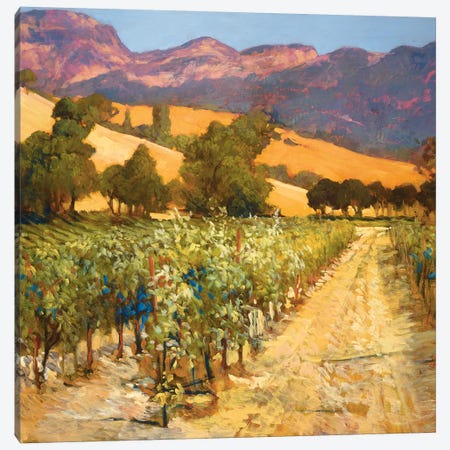 Wine Country Canvas Print #PHC12} by Philip Craig Canvas Wall Art