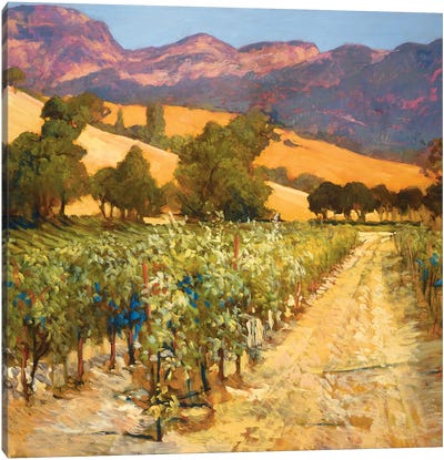 Wine Country Canvas Art Print - Mediterranean Décor