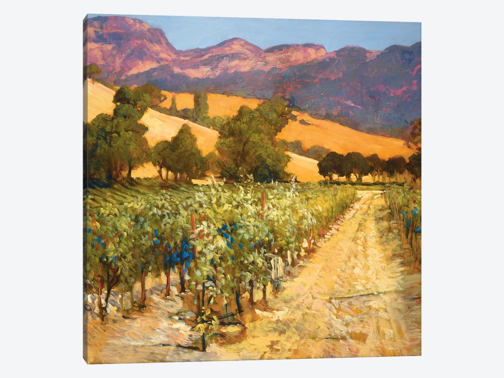 Wine Country by Philip Craig 1-piece Canvas Artwork