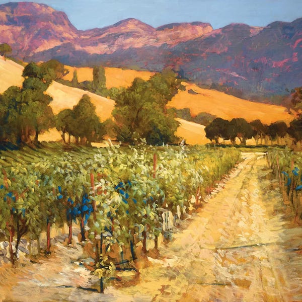 European Décor: Wine Country by Philip Craig