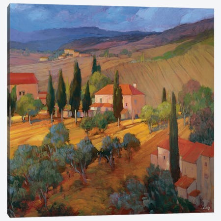 Coral Sunset Tuscany Canvas Print #PHC2} by Philip Craig Canvas Art Print