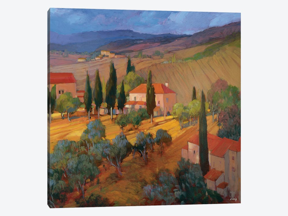 Coral Sunset Tuscany by Philip Craig 1-piece Art Print