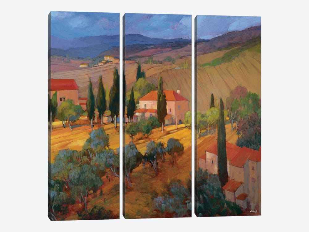 Coral Sunset Tuscany by Philip Craig 3-piece Canvas Print