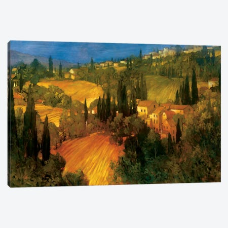 Hillside - Tuscany Canvas Print #PHC5} by Philip Craig Canvas Art