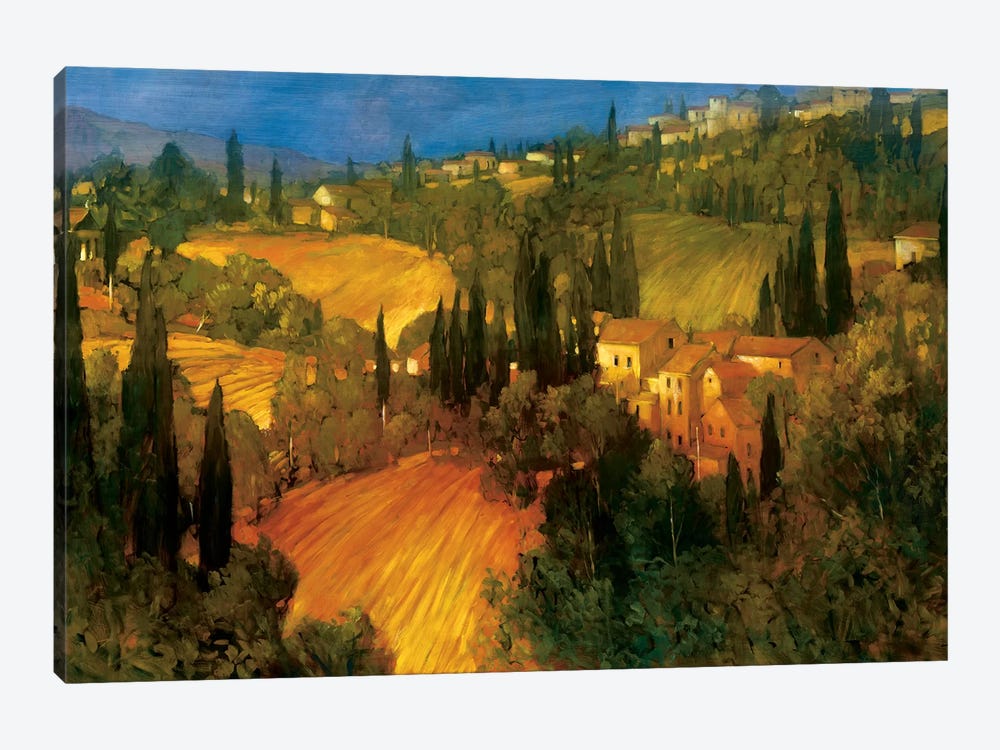 Hillside - Tuscany by Philip Craig 1-piece Canvas Artwork
