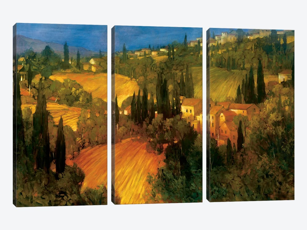 Hillside - Tuscany by Philip Craig 3-piece Canvas Art