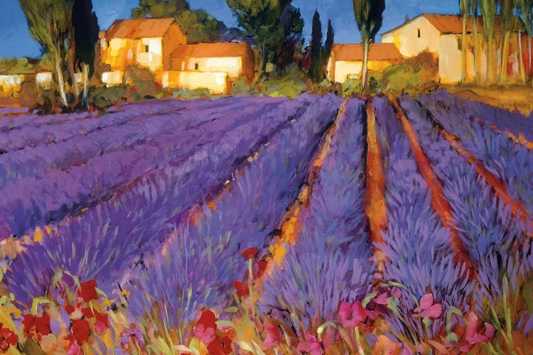 Late Afternoon, Lavender Fields