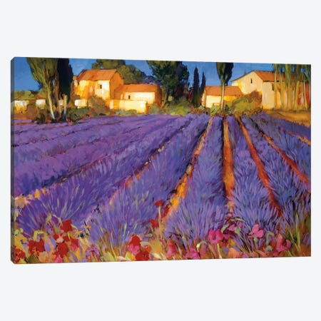 Late Afternoon, Lavender Fields Canvas Print #PHC6} by Philip Craig Canvas Artwork
