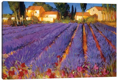 Late Afternoon, Lavender Fields Canvas Art Print - Lavender Art