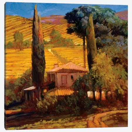Tuscan Morning Light Canvas Print #PHC8} by Philip Craig Canvas Print