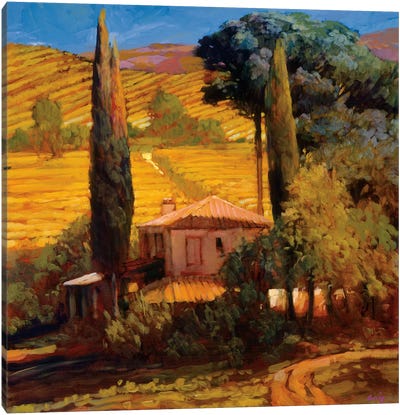 Tuscan Morning Light Canvas Art Print - Artists Like Van Gogh