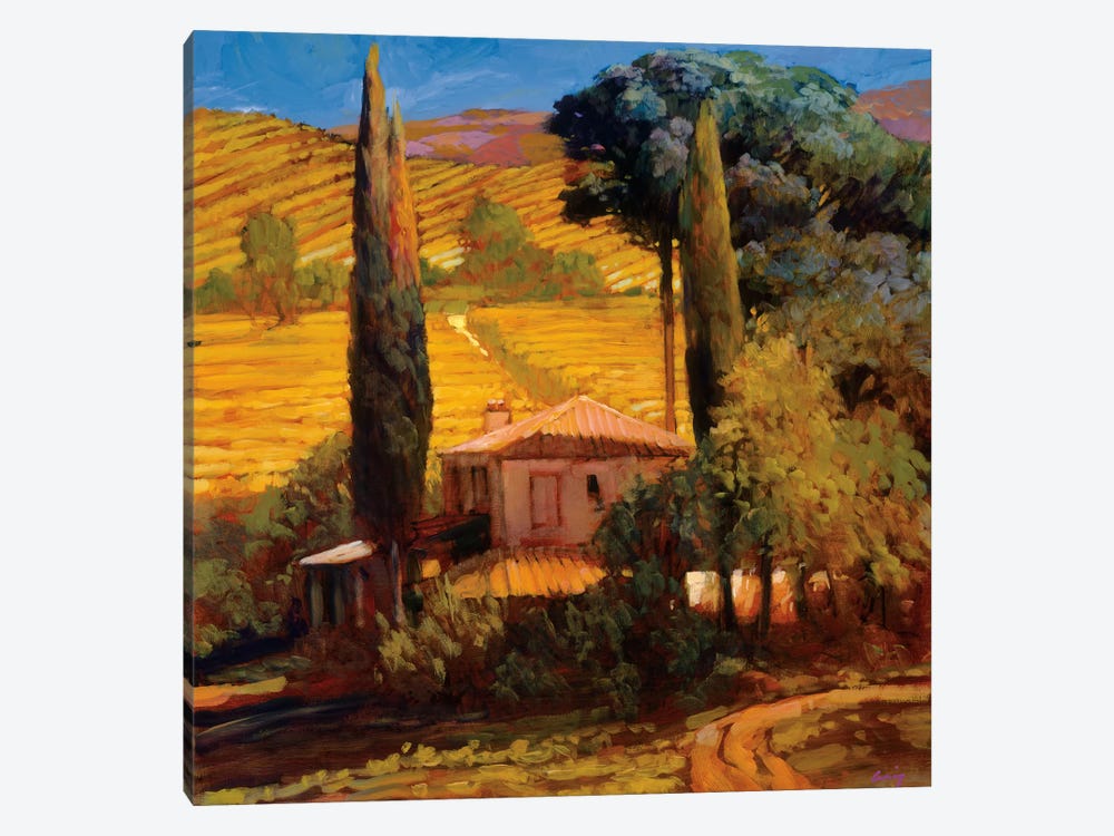 Tuscan Morning Light by Philip Craig 1-piece Art Print