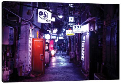 Open Doors Canvas Art Print - Nightlife Japan 