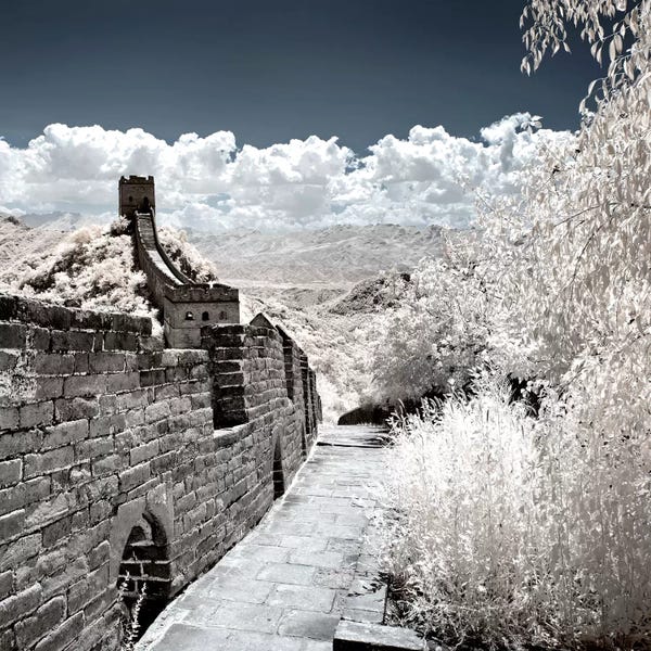 Chinese Décor: Another Look At China VI by Philippe Hugonnard