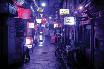 Overnight by Philippe Hugonnard framed wall art