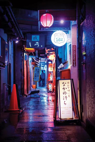 Japan: Reflection Of Lights by Philippe Hugonnard