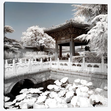 Another Look At China VIII Canvas Print #PHD102} by Philippe Hugonnard Canvas Print
