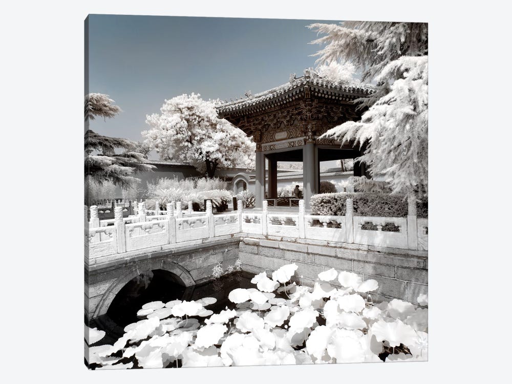 Another Look At China VIII by Philippe Hugonnard 1-piece Canvas Art Print
