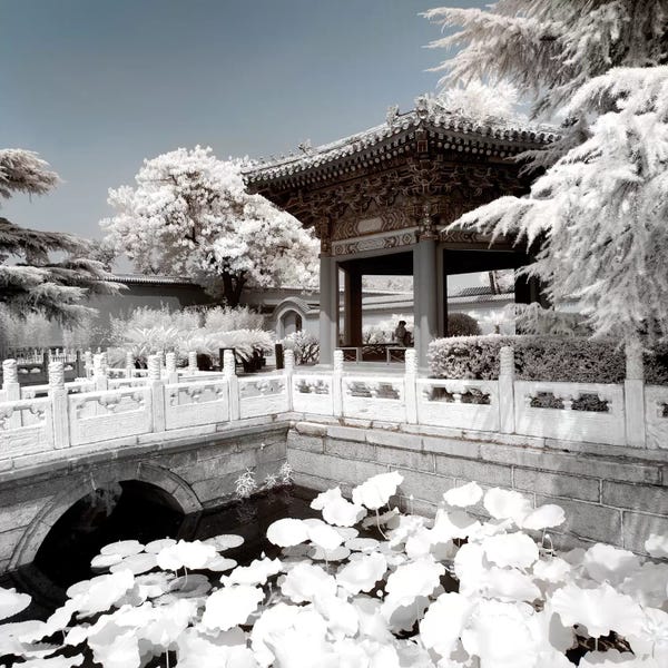 Chinese Décor: Another Look At China VIII by Philippe Hugonnard