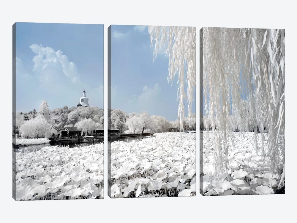 Another Look At China X by Philippe Hugonnard 3-piece Canvas Wall Art