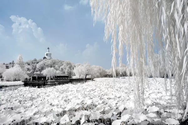 Chinese Décor: Another Look At China X by Philippe Hugonnard