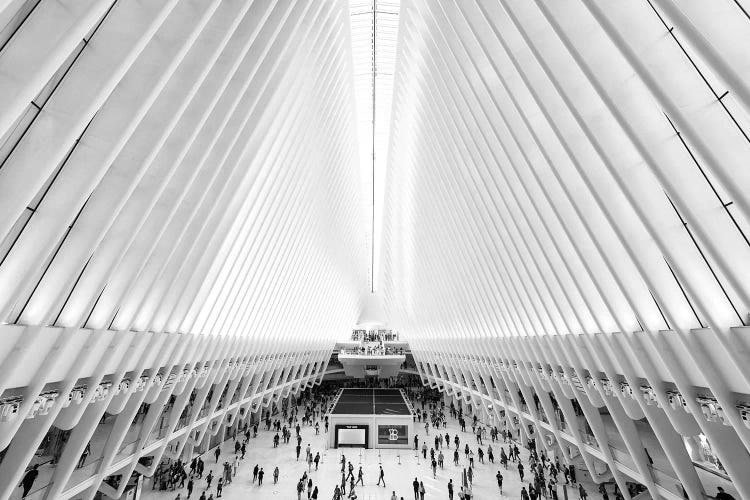 The Oculus WTC