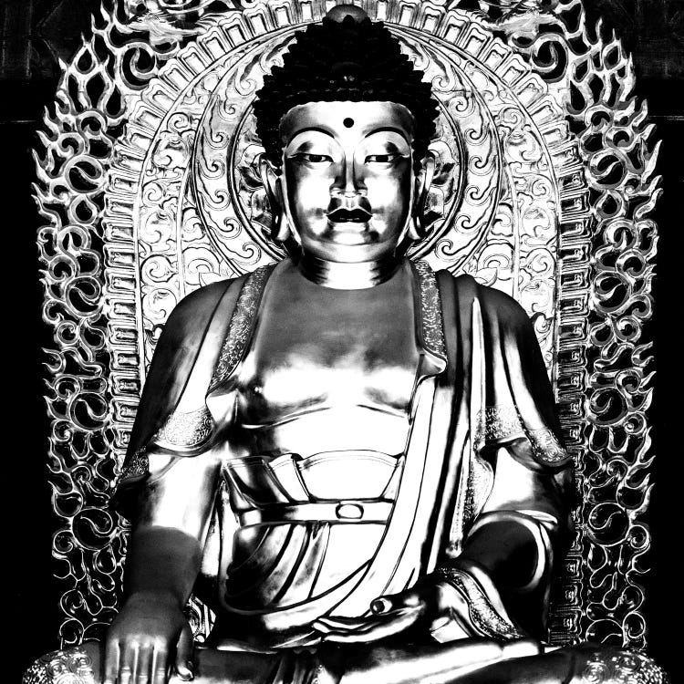 Buddha II by Philippe Hugonnard wall art