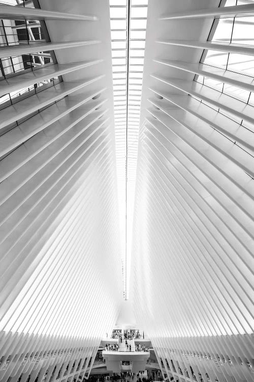 The Oculus