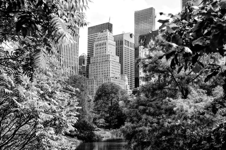 Central Park