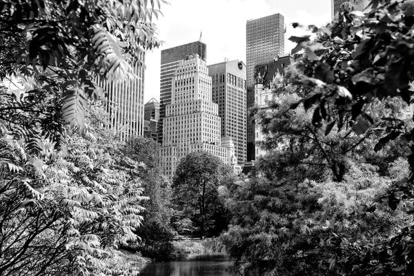 Central Park: Central Park by Philippe Hugonnard