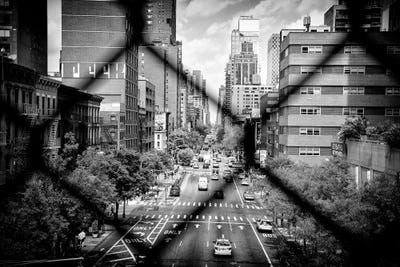 Between The Mesh Of The Fence by Philippe Hugonnard canvas print