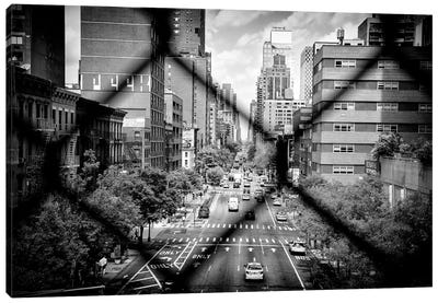 Between The Mesh Of The Fence Canvas Art Print