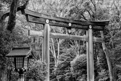 Wooden Torii - Black Japan by Philippe Hugonnard canvas print